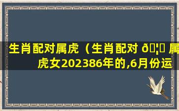 生肖配对属虎（生肖配对 🦊 属虎女202386年的,6月份运气怎么样）